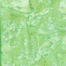 Hoffman Batik Print Watercolors Color Monstera 1895-498-Monstera