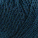 Cascade Yarns 220 Superwash 856 Aporto