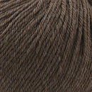 Cascade Yarns 220 Superwash 862 Walnut Heather