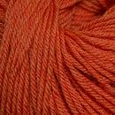 Cascade Yarns 220 Superwash 907 Tangerine Heather