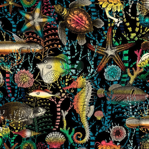 Blank Quilting Ocean Menagerie Sea Life Black Fabric ONLINE PURCHASE ONLY
