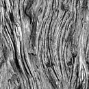  Quilting Treasures Open Air Pattern Bark Color Gray 28113-K