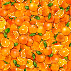 Quilting Treasures Fresh Oranges 28455 O
