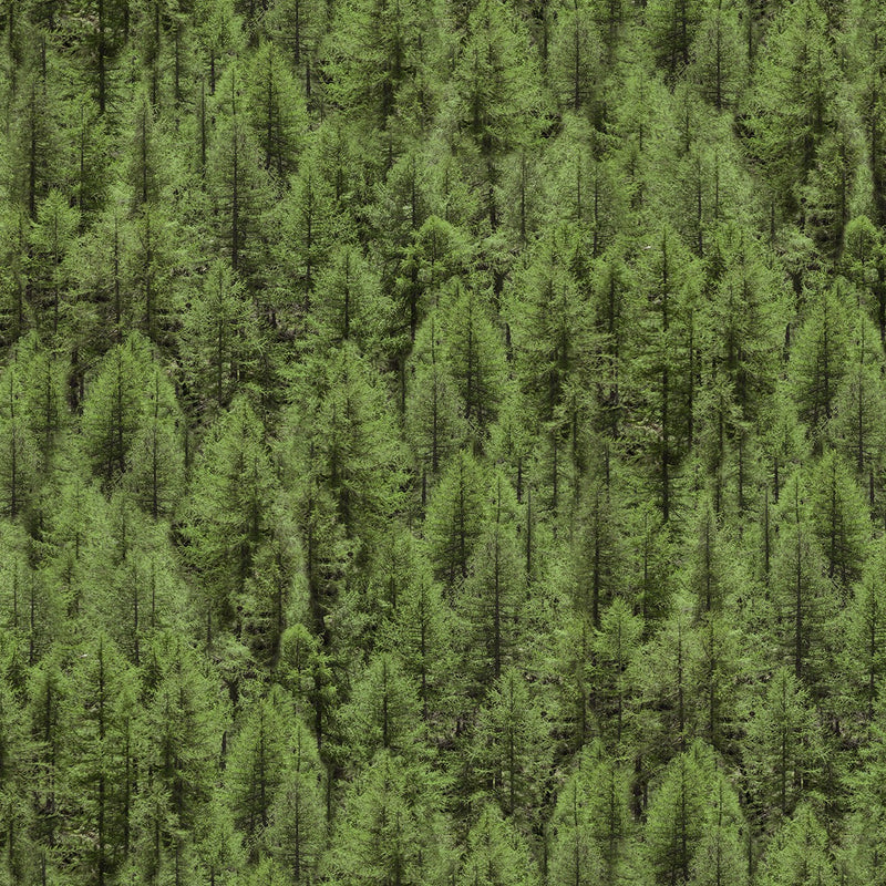 Windham Fabrics Landscapes Evergreen 52115D-X
