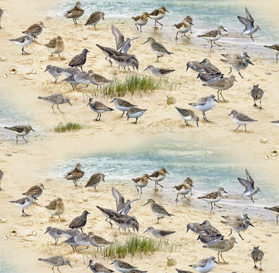 Elizabeth' Studio Coastal Dreams Sand Fabric