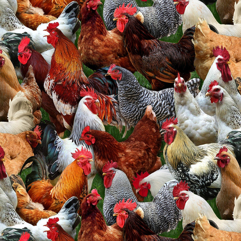 Elizabeth's Studio Farm Animals Chickens 601-MULTI