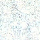 Hoffman Fabrics Bali Dots Aurora Batik Fabric