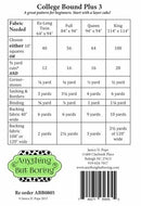 Anything But Boring College Bound Plus 3 Quilt Pattern