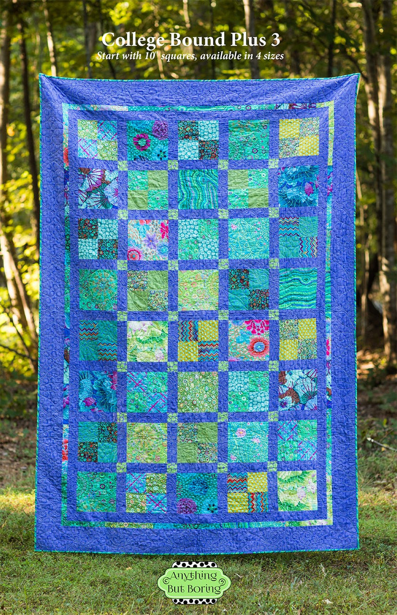 Anything But Boring College Bound Plus 3 Quilt Pattern ABB 0805