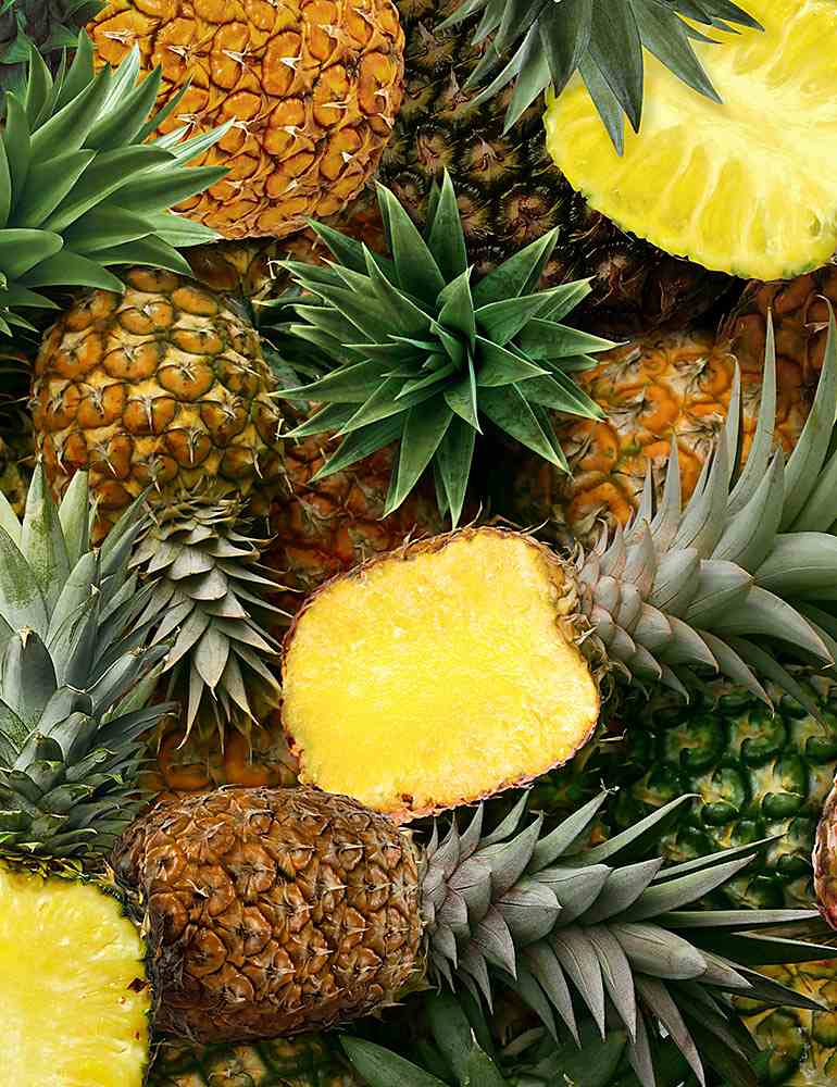 Timeless Treasures Fruit Bowl Packed Pineapples Yellow Digital Print Fabric