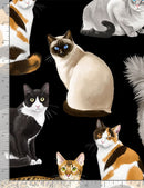 Timeless Treasures Assorted Realistic Cats GM-C8050 - BLACK
