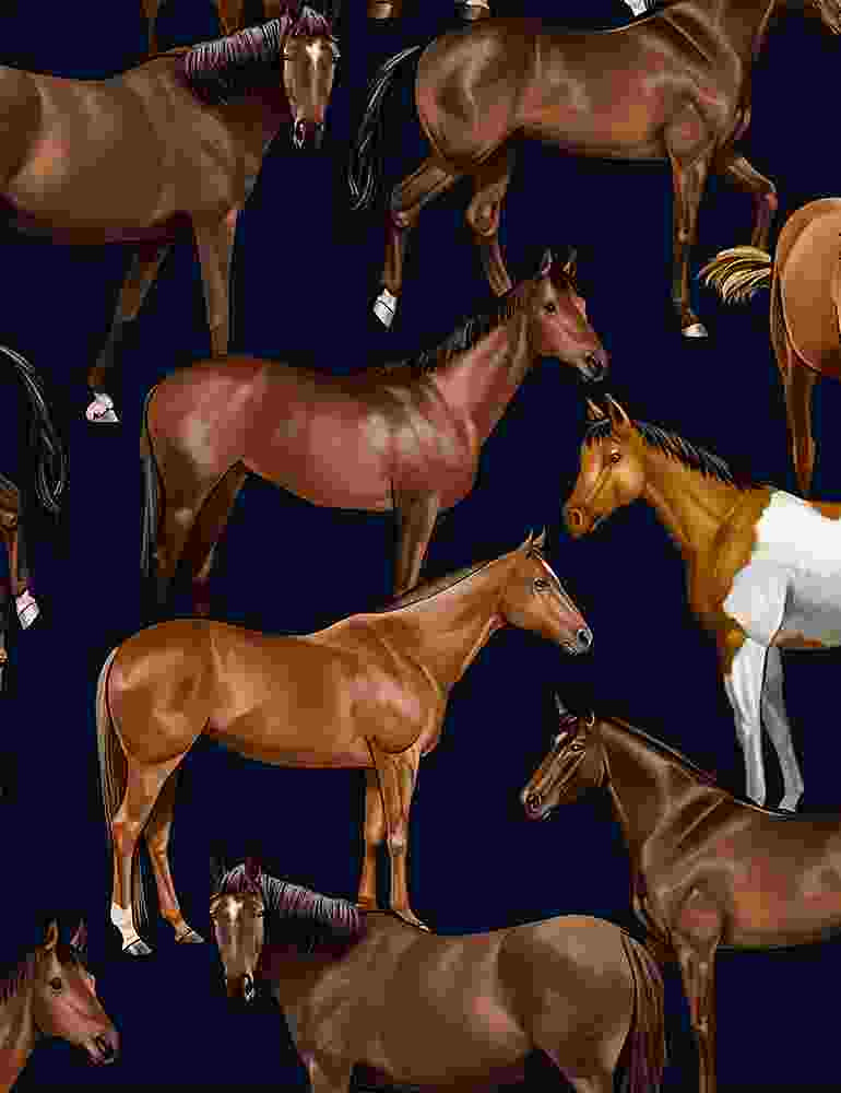 Timeless Treasures Western Life Realistic Horses Navy Fabric