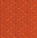 Kaffe Fassett Collective  Print Aboriginal Dot Color Orange GP71.Orang