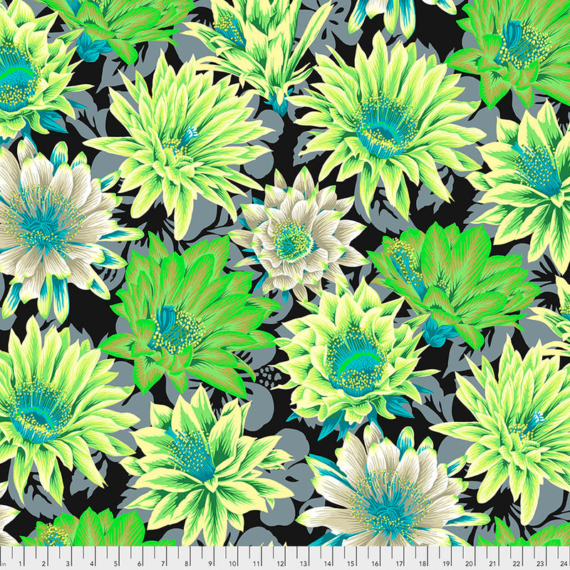 Cactus Flower Color Contrast PJ096.CONTRAST  Designed By Philip Jacobs For Kaffe Fassett Collective February 2021