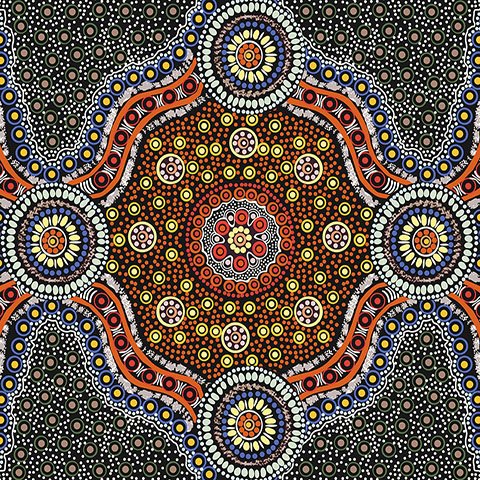 M&S Textiles Wild Bush Flowers-Black Aboriginal Print WBFB