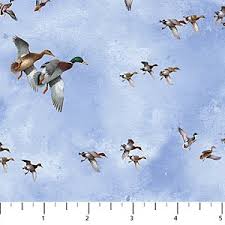 Northcott Take A Gander Flying Geese Fabric ONLINE PURCHASE ONLY