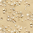 Elizabeth's Studio Landscape Medley Shells on Sand 555SAND