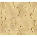 Elizabeth's Studio Landscape Medley Footprints in the Sand 418SAND